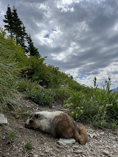 Glacier National Park