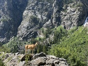 Grand Teton National Park 
