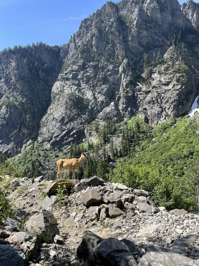 Grand Teton National Park 