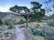 Big Bend National Park
