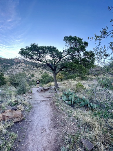 Big Bend National Park
