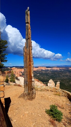 Bryce Canyon National Park