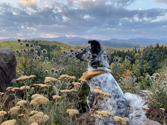 BLM -Western Colorado 