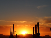 Saguaro National Park