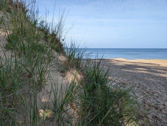 Indiana Dunes National Park