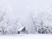 Jack Frost Lives Here