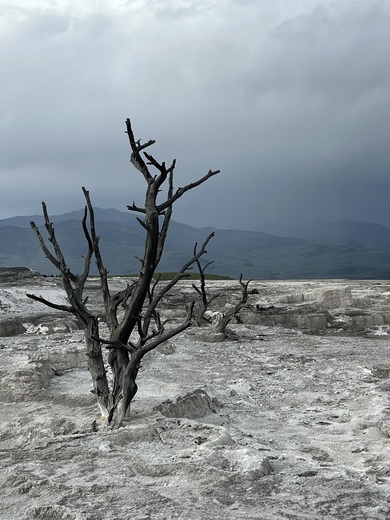 Yellowstone National Park