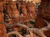 Bryce Canyon National Park