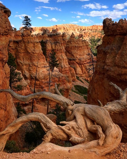 Bryce Canyon National Park