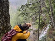 Willamette National Forest