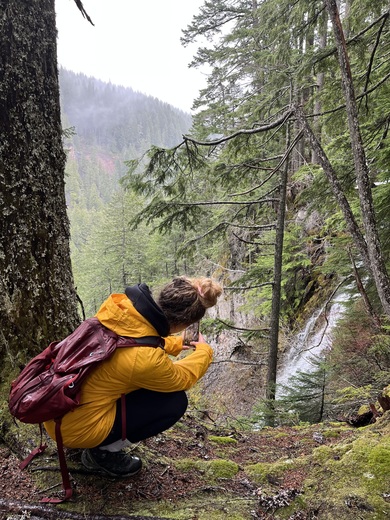Willamette National Forest