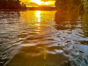 Uwharrie National Forest