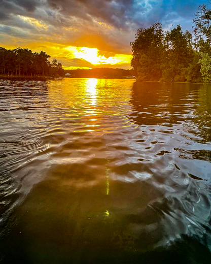 Uwharrie National Forest