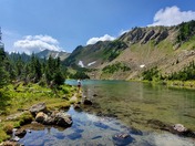 Flathead National Forest