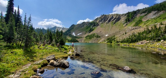 Flathead National Forest