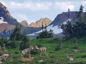 Glacier National Park