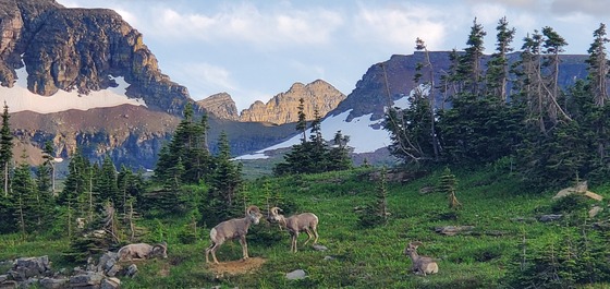 Glacier National Park