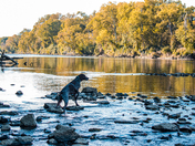 Pee Dee National Wildlife Refuge