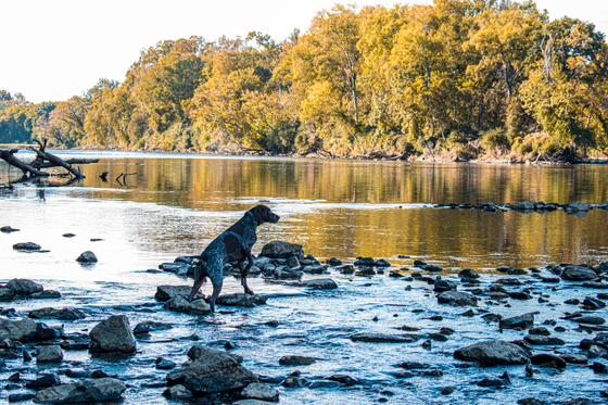 Pee Dee National Wildlife Refuge