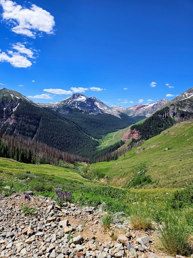 Grand Mesa Uncompahgre and Gunnison National Forests
