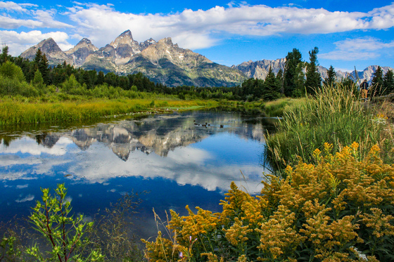 Grand Teton National Park 
