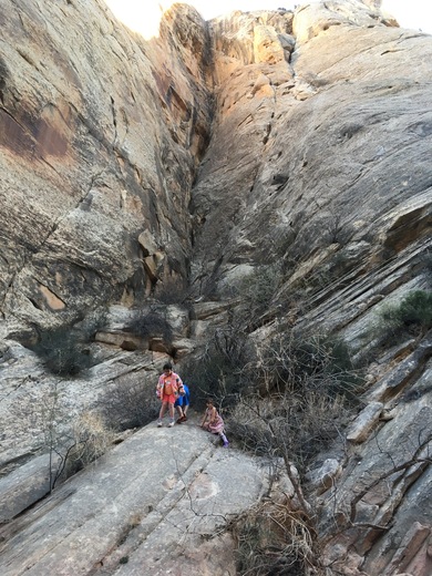 Capitol Reef National Park