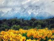 Grand Teton National Park 