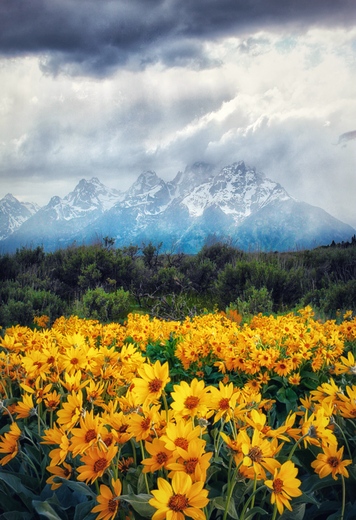 Grand Teton National Park 