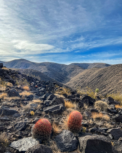 Sloan Canyon National Recreation Area 