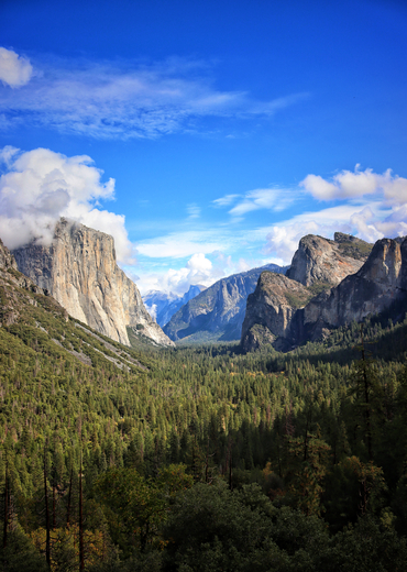 Yosemite National Park 