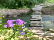 Natchez Trace Parkway 
