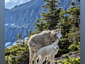 Glacier National Park