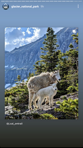 Glacier National Park