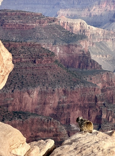 Grand Canyon National Park
