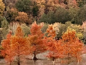Cherokee National Forest 