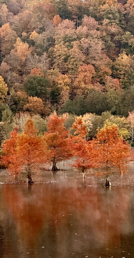 Cherokee National Forest 