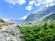 Glacier National Park 