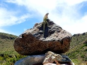 Big Bend National Park