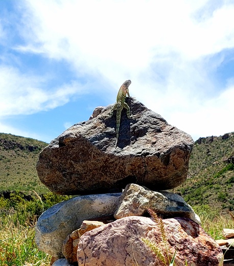 Big Bend National Park
