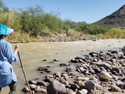 Big Bend National Park