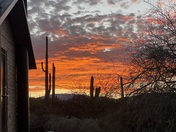 Coronado National Forest