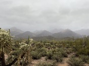 Coronado National Forest