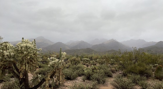 Coronado National Forest