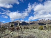 Coronado National Forest