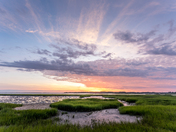 Chincoteague National Wildlife Refuge