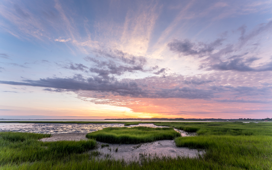 Chincoteague National Wildlife Refuge
