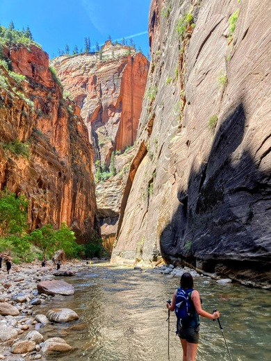 Zion National Park 