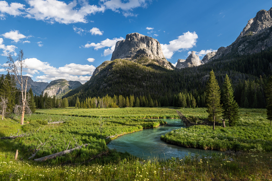 Shoshone National Forest 