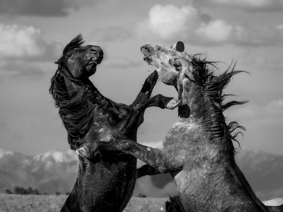 Utah BLM 