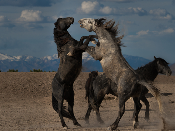  Utah BLM 